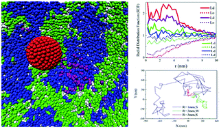 Partitioning of nanoscale particles on a heterogeneous multicomponent ...