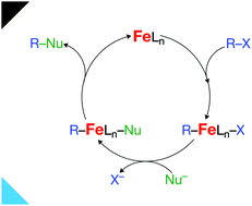 Understanding the differences between iron and palladium in cross-coupling  reactions - Physical Chemistry Chemical Physics (RSC Publishing)