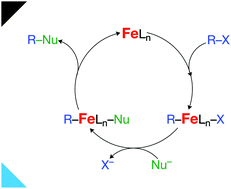 Understanding The Differences Between Iron And Palladium In Cross Coupling Reactions Physical Chemistry Chemical Physics Rsc Publishing