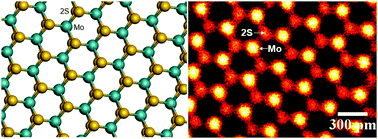 Atomic Structure Of Defects And Dopants In 2d Layered