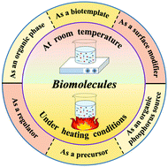 Biomolecule Assisted Green Synthesis Of Nanostructured Calcium Phosphates And Their Biomedical Applications Chemical Society Reviews Rsc Publishing