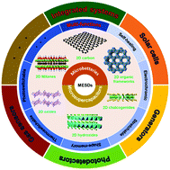 Two-dimensional materials for miniaturized energy storage devices 
