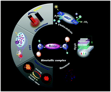 Dinuclear Metal Complexes Multifunctional Properties And Applications Chemical Society Reviews Rsc Publishing