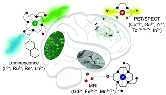 Metal Based Imaging Agents Progress Towards Interrogating Neurodegenerative Disease Chemical Society Reviews Rsc Publishing