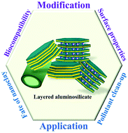 Biocompatible Functionalisation Of Nanoclays For Improved Environmental Remediation Chemical Society Reviews Rsc Publishing