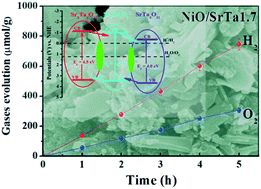 Construction of strontium tantalate homo-semiconductor composite ...