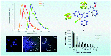 Spectroscopy, electrochemistry and antiproliferative properties of Au ...