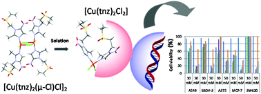 cenforce antibiotic purchase