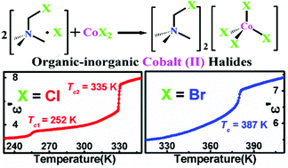 High Temperature Reversible Phase Transitions And