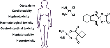 The Side Effects Of Platinum Based Chemotherapy Drugs A Review For Chemists Dalton Transactions Rsc Publishing