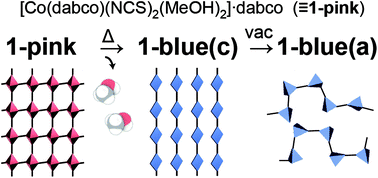 Chemo Chromism In An Orthogonal Dabco Based Co Ii Network Assembled By Methanol Coordination And Hydrogen Bond Formation Dalton Transactions Rsc Publishing