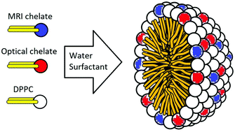 Amphiphilic Complexes Of Ho Iii Dy Iii Tb Iii And Eu Iii For Optical And High Field Magnetic Resonance Imaging Dalton Transactions Rsc Publishing