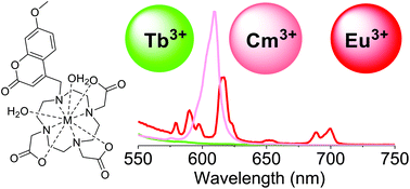 Investigating Subtle 4f Vs 5f Coordination Differences Using Kinetically Inert Eu Iii Tb Iii And Cm Iii Complexes Of A Coumarin Appended 1 4 7 10 Tetraazacyclododecane 1 4 7 Triacetate Do3a Ligand Dalton Transactions Rsc Publishing