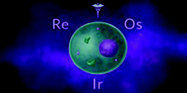 Anticancer Activity Of Complexes Of The Third Row Transition Metals Rhenium Osmium And Iridium Dalton Transactions Rsc Publishing