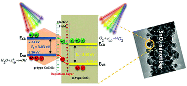 Uv Visible Light Active Cucro2 Nanoparticle Sno2 Nanofiber P N Heterostructured Photocatalysts For Photocatalytic Applications Dalton Transactions Rsc Publishing