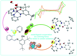 Redox active ligand and metal cooperation for C(sp2)–H oxidation