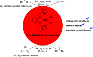 Catalytic Oxidation Of Alcohols With Novel Non Heme N4 Tetradentate Manganese Ii Complexes Dalton Transactions Rsc Publishing