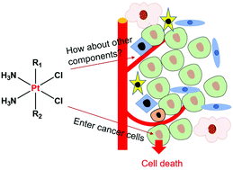 Emerging Platinum Iv Prodrugs To Combat Cisplatin Resistance From Isolated Cancer Cells To Tumor Microenvironment Dalton Transactions Rsc Publishing