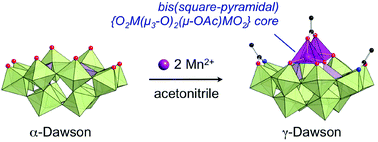 Hexavacant G Dawson Type Phosphotungstates Supporting An Edge Sharing Bis Square Pyramidal O2m M3 O 2 M Oac Mo2 Core M Mn2 Co2 Ni2 Cu2 Or Zn2 Dalton Transactions Rsc Publishing