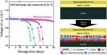 Abnormal self-discharge in lithium-ion batteries - Energy & Environmental  Science (RSC Publishing)