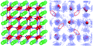 Elucidating Lithium Ion And Proton Dynamics In Anti