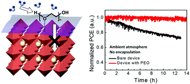 Enhanced Solar Cell Stability By Hygroscopic Polymer Passivation Of Metal Halide Perovskite Thin Film Energy Environmental Science Rsc Publishing