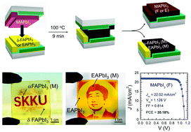 Bifacial Stamping For High Efficiency Perovskite Solar Cells - Energy ...