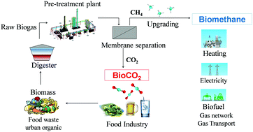 Simultaneous Production Of Biomethane And Food Grade Co2 From Biogas An Industrial Case Study Energy Environmental Science Rsc Publishing