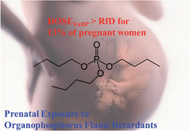 Prenatal Exposure To Organophosphorus >> A Pilot Study Of Metabolites Of Organophosphorus Flame Retardants In Prenatal Exposure To Organophosphorus >> A Pilot Study Of Metabolites Of Organophosphorus Flame Retardants In
