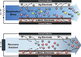 Rapid and selective lithium recovery from desalination brine using an