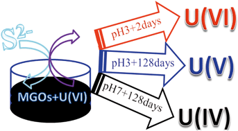 Retracted Article Influence Of Aqueous Sulfide On Speciation Of U Vi Adsorbed To Nanomagnetite Environmental Science Nano Rsc Publishing