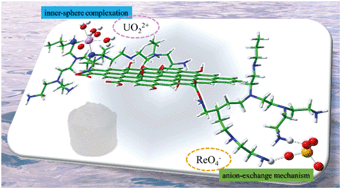 Simultaneous Elimination Of Cationic Uranium Vi And Anionic Rhenium Vii By Graphene Oxide Poly Ethyleneimine Macrostructures A Batch Xps Exafs And Dft Combined Study Environmental Science Nano Rsc Publishing