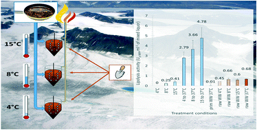 Lipolysis Of Domestic Wastewater In Anaerobic Reactors Operating At Low Temperatures Environmental Science Water Research Technology Rsc Publishing