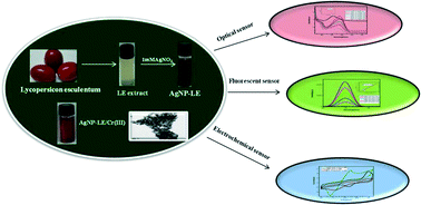 Green Synthesized Unmodified Silver Nanoparticles As A Multi Sensor For Cr Iii Ions Environmental Science Water Research Technology Rsc Publishing