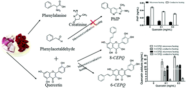 A comparison of mutagenic PhIP and beneficial 8-C-(E-phenylethenyl)quercetin  and 6-C-(E-phenylethenyl)quercetin formation under microwave and  conventional heating - Food & Function (RSC Publishing)