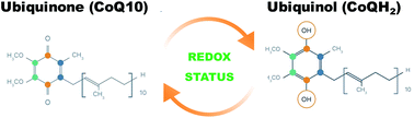 Ubiquinol is superior to ubiquinone to enhance Coenzyme Q10 status in older  men - Food & Function (RSC Publishing)