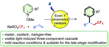 Metal‐, Photocatalyst‐, Light‐ and Electrochemical‐Free C‐3  Trifluoromethylation of Quinoxalin‐2(1H)‐ones, Imidazo[1,2‐a]pyridines and  2H‐Indazoles - Dutta - 2021 - ChemistrySelect - Wiley Online Library