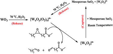 Solvent Free Oxidative Cleavage Of Epoxy Fatty Acid Methyl Esters By A Release And Capture Catalytic System Green Chemistry Rsc Publishing