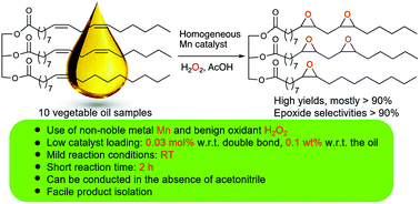Highly Efficient Epoxidation Of Vegetable Oils Catalyzed By A Manganese Complex With Hydrogen Peroxide And Acetic Acid Green Chemistry Rsc Publishing