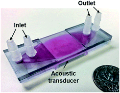 Plastic-based acoustofluidic devices for high-throughput 