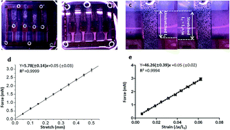 A System To Monitor Statin Induced Myopathy In Individual