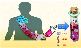 Cancer Diagnosis From Tumor To Liquid Biopsy And Beyond Lab On A Chip Rsc Publishing