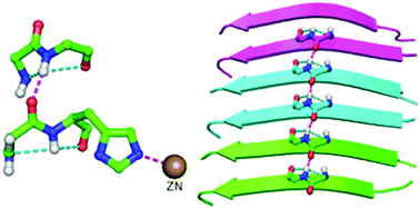 protein structural motifs