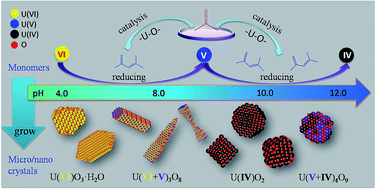 Control of the compositions and morphologies of uranium oxide nanocrystals  in the solution phase: multi-monomer growth and self-catalysis - Nanoscale  Advances (RSC Publishing)