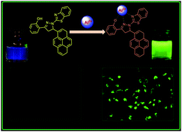 A pyrazoline-based fluorescent chemosensor for Al3+ ion detection and ...