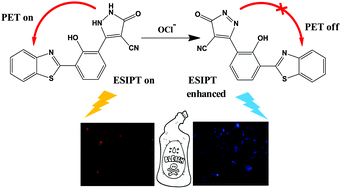A Ratiometric Hypochlorite Sensor Guided By Pet Controlled Esipt Output With Real Time Application In Commercial Bleach New Journal Of Chemistry Rsc Publishing