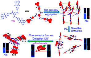 A tripodal supramolecular sensor to successively detect picric acid and CN−  through guest competitive controlled AIE - New Journal of Chemistry (RSC  Publishing)