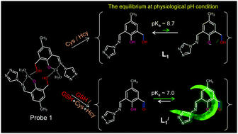 Glutathione-selective offon fluorescence response by a probe-displaced  modified ligand for its detection in biological domains - New Journal of  Chemistry (RSC Publishing)