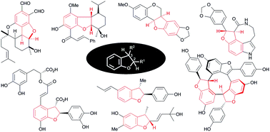 Synthetic approaches to natural products containing 2,3