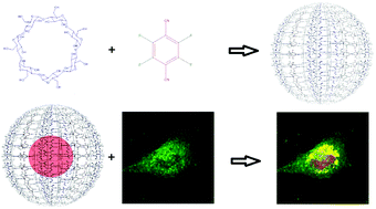 Biocompatible Crosslinked B Cyclodextrin Nanoparticles As Multifunctional Carriers For Cellular Delivery Nanoscale Rsc Publishing